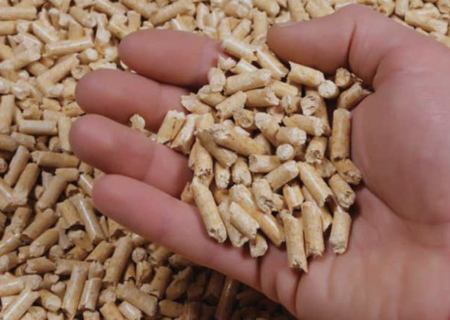 biomass-wood-pellets